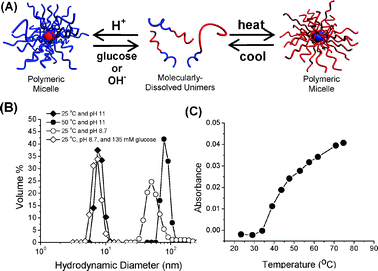 (A) Block copolymer self-assembly–dissociation in response to changes in pH or temperature. (B) Hydrodynamic size distributions of poly(3-acrylamidophenylboronic acid)-b-poly(N-isopropylacrylamide) (PAPBA-b-PNIPAM) at 25 °C and pH 11, at 50 °C and pH 11, at 25 °C and pH 8.7, and at 25 °C and pH 8.7 in the presence of 135 mM glucose. (C) Turbidimetry results at λ = 600 nm for the determination of lower critical solution temperature for PAPBA-b-PNIPAM.