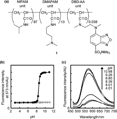 (a) Chemical structure of 1. (b) Fluorescence responses of 1 (0.01 w/v%) to pH variation at 50 °C (●) and 20 °C (○) in a Britton–Robinson buffer. Excitation: 450 nm. The fluorescence quantum yield was 0.035 at 50 °C and pH 3. (c) Fluorescence spectra of 1 at 50 °C. Conditions are the same as in (b).