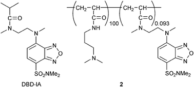 Chemical structures of DBD-IA (N,2-dimethyl-N-(2-{methyl[7-(dimethylsulfamoyl)-2,1,3-benzoxadiazol-4-yl]amino}ethyl)propanamide) and 2.