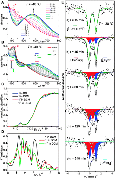 (A) UV/Vis spectra of the decay of 1+, recorded at −40 °C. (B) UV/Vis spectra of the decay of 12+, recorded at −40 °C. (C) Fe K-edge XAS of 1, 1+, and 12+. (D) Fourier transforms of the Fe K-edge EXAFS of 1, 1+, and 12+. (E) Mössbauer spectra recorded at 80 K after the oxidation of 1 to 12+ at −30 °C in DCM using two equivalents of AR recorded on samples quenched at individual times.