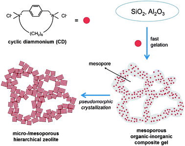 A schematic representation for the ‘pseudomorphic crystallization’ of a hierarchical BEA zeolite in the presence of cyclic diammonium (CD) as a structure-directing agent.