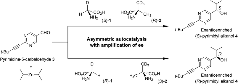 Isotopically chiral amino acid induced asymmetric autocatalysis of 5-pyrimidyl alkanol 4 in the addition of i-Pr2Zn to aldehyde 3.