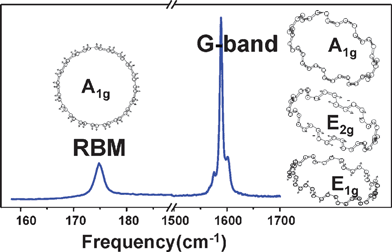 Typical Raman spectrum of an individual (10, 10) SWNT on SiO2 substrate acquired with a laser of 1.96 eV. The left one and the three right atomic displacements are, respectively, for the RBM and the G-band of the (10, 10) SWNT.9