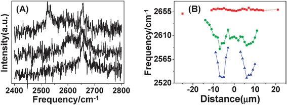 (A) G′-band spectra of one SWNT from three positions at the torsional region. From bottom to top, the spectra correspond to no torsional strain, small torsional strain and large torsional strain, respectively. (B) G′-band frequencies vs. position along the axis of the SWNT. Red data corresponds to the original peak while green and blue data are from new peaks as a result of torsional strain.