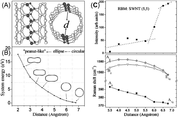 (A) Sketch of a (5, 5) SWNT model, and (B) the system energy of deformed SWNTs with different optimized structural shapes. The distance (x axis) is the shortest distance between two carbon atoms located opposite each other on different sides of the axis of the SWNT (marked with black atoms). (C) Calculated relative intensities and frequencies for the same SWNT.110