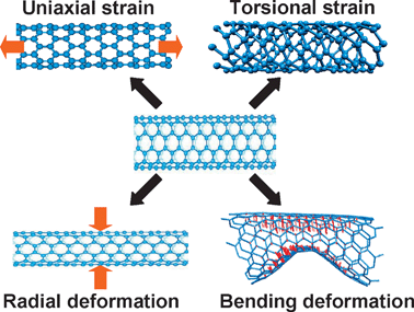 Four types of strains that SWNTs may be subject to.