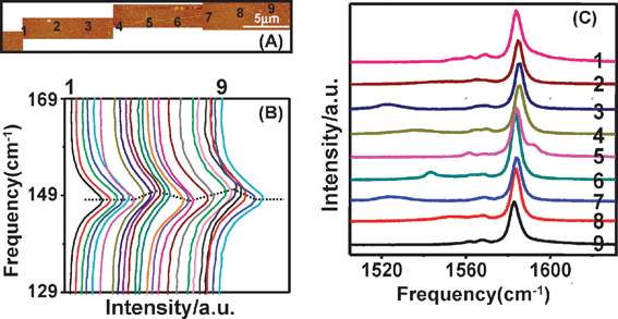 (A) Typical tapping mode AFM image of a SWNT after AFM manipulation. (B) RBM and (C) G-band92spectra of (14, 2) SWNT after AFM manipulation. “1–9” are the post-manipulation spectra of nine points along SWNT indicated in (A). The dashed lines indicate the M-shaped distribution of ωRBM along the axis of the SWNT.