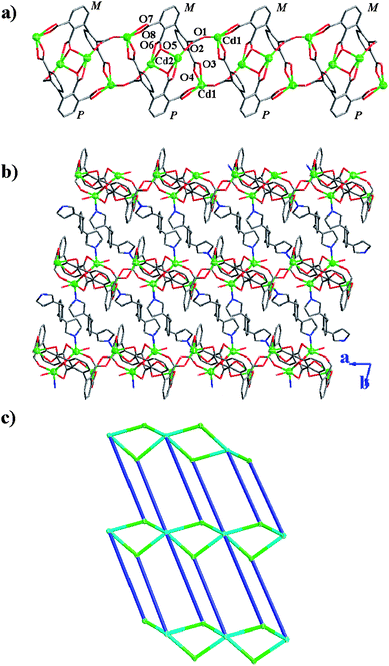 (a) View of the diamond-like Cd-bptc chain structure along the a axis in 5. Cd2-cluster is locked in the cavity built from Cd1 and the ligand bptc4− with opposite chirality. (b) 2D layer structure along the bc plane. (c) View of the distorted CdI2-type topology for 5. Cd1 and the binuclear cadmium cluster are drawn as green and turquoise, whereas the bix are highlighted as blue.