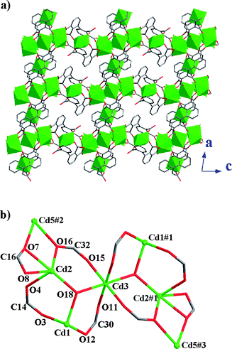(a) 2D metal–organic network in 2. Cd atoms are drawn as polyhedrons. (b) The heptanuclear cadmium cluster.