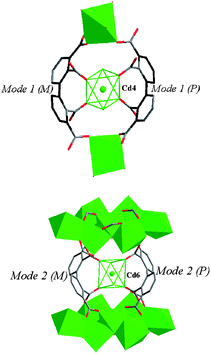 View of the crown-ether-like cycles (A: top and B: bottom) built from bptc4− ligands (mode 1 and mode 2, respectively) and Cd atoms in compound 2. The cavities (A and B) are occupied by Cd4 and Cd6 atoms, respectively.