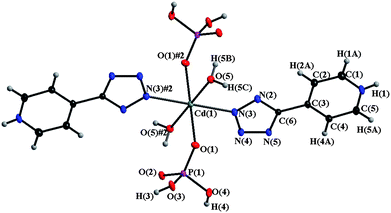 View of local co-ordination geometry at the Cd(II) centre in 2 (50% ellipsoid probability).