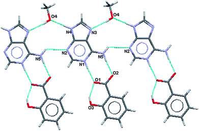 Partial hydrogen bonding, major site of salicylate ion.