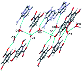 Participation of water ions with in-plane and out-of-plane hydrogen bonding in (VI).