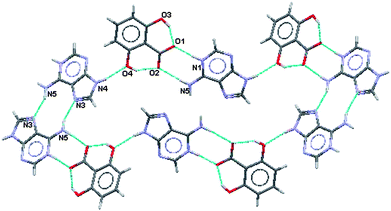 Partial hydrogen bonding pattern in (III).