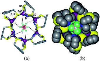 Flower-shaped cyclic hexamer structure of 1, [Ag6(L1)6(PF6)](PF6)5: (a) ball-and-stick and (b) space-filling views. Noncoordinating anions are omitted except for one PF6− ion in the cavity.