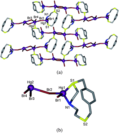 (a) Brick-wall-type infinite 2D structure and (b) asymmetric unit of 4, [Hg2(L3)Br4]n.