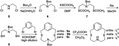 Synthesis of isomeric NS2-donor macrocycles, L1–L3.