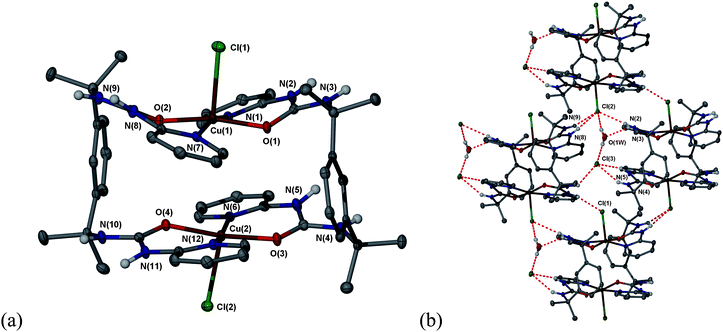 (a) Molecular structure of the binuclear copper(II) complex 2; (b) crystal packing in 2 showing the complex interactions from urea to both coordinated and uncoordinated Cl−. Selected bond distances: Cu1–O2 1.9229(16), Cu1–O1 1.9313(16), Cu1–N1 2.030(2), Cu1–N7 2.0336(19), Cu1–Cl1 2.5095(7) Å. Selected hydrogen bond distances: N3⋯O1W 2.866(3), Cl2⋯N9 3.219(2), Cl2⋯N8 3.354(2), Cl2⋯N2 3.365(2), Cl2⋯O1W 3.179(3), O1W⋯Cl3 3.183(3), Cl3⋯N5 3.163(2), Cl3⋯N4 3.262(2) Å. The bromide complex is isomorphous (30% ellipsoids).