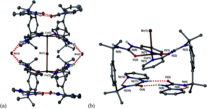 (a) The mixed hydrogen bonded/copper(II) ‘supercomplex’ 4 showing the bridging Br− anion and supporting urea⋯Br−hydrogen bonds (30% ellipsoids);(b) one half of the ‘supercomplex’ showing the similarity of the metal-linked and hydrogen bonded base pairs. Selected bond distances: Br1–Cu1 2.767(4), Br1–Cu2 2.769(4), Cu1–O3 1.911(8), Cu1–O1 1.925(9), Cu1–N1 1.987(11), Cu1–N7 2.015(11) Å. Selected hydrogen bond distances: N4⋯N6 2.634(19), N5⋯O4 2.863(18), N10⋯N12 2.70(2), N11⋯O2 2.874(16), N⋯Br− 3.270(11) to 3.469(11) Å.