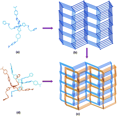 (a) Local coordination geometry of the central Cd(II) atom of 1. (b) Schematic representation of CdSO4 topology of 1. (c) The two interpenetrating CdSO4 networks. For 1, both nets are equivalent. For 2, the net containing Ni1 is shaded orange, while the net containing Ni2 is shaded blue. (d) Local coordination geometry of the central Ni(II) atom of 2.