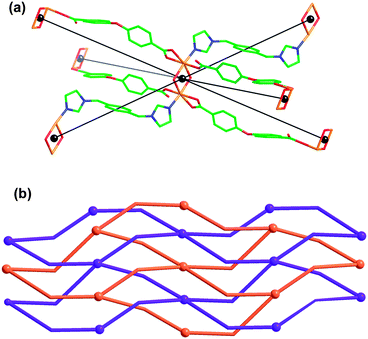 (a) Local coordination geometries and connectivity of the Ni2(H2O)2 dimer in 6. (b) Schematic representation of 2D → 2D parallel interpenetration network in 6.