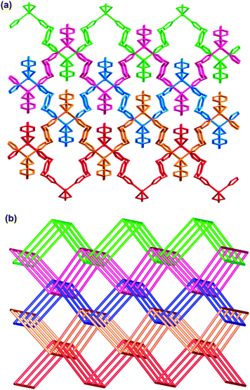 (a) The 2D → 3D parallel interpenetration of the sheets in 5. (b) Schematic representation of 2D → 3D parallel interpenetration of the sheets in 5.