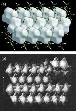 (a) Packing diagram of Hirshfeld surfaces for C2F4 (CSD refcode GAFLIJ, space groupP21/n); (b) close packing diagram, adapted from Fig. 62, p 93 of ref. 44 (with kind permission of Spinger Science and Business Media).
