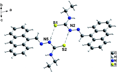 The ANS dimer in crystal 1.