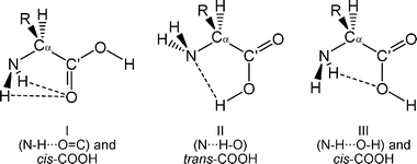 Intramolecular hydrogen bonding between the carboxylic and amino groups of α-amino acids.