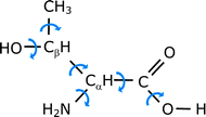 Single bond rotations in l-threonine.