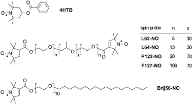 The spin-probes used in this study.