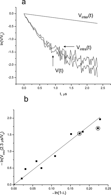 (a) The DEER kinetics of 0.7 mM Brij56-NO in 4 wt% P123: normalized raw data (V(t)), Vintra(t) and the calculated Vinter(t) as indicated on the figure. (b) The dependence of ln(Vintra(t)/V0), for t = 2.3 μs, on ln(1 −λ). (Ka-band measurements). The solid line represents a linear best fit. The circled points represent data obtained from P123-NO in the same solution and at t = 1.7 μs measured at X-band.