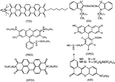 Chemical structures of dye molecules commonly used to probe silica materials. Shown are N-(2,6-diisopropylphenyl)-N′-(n-octyl)terrylene-3,4,11,12-tetracarboxylic diimide (TDI), 1,1′-dihexadecyl-3,3,3′,3′-tetramethylindocarbocyanine perchlorate (DiI), rhodamine 6G (R6G), Oregon Green (ORG), N,N′-bis(3-sulfonatopropyl)perylene-3,4,9,10-tetracarboxylic diimide (SPDI), Nile Red (NR) and a silanized Nile Red (NR–Si) derivative.