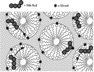 Model for diffusion and adsorption of Nile Red within CTAB-containing films. The dye moves relatively freely through the surfactant-filled and/or hydrated pores, periodically encountering surface silanols (stars) on the silica pore surfaces to which it can hydrogen bond, leading to reversible adsorption events.68