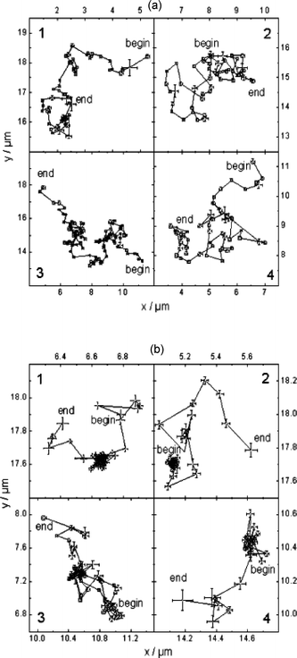 Four representative single molecule transients obtained from M22 (a) and M3 (b) samples. The data are reflective of Brownian motion in M22 and free diffusion coupled with trapping (dense clouds of data points) in M3. (Reprinted with permission from ref. 98. Copyright 2004, American Chemical Society.)