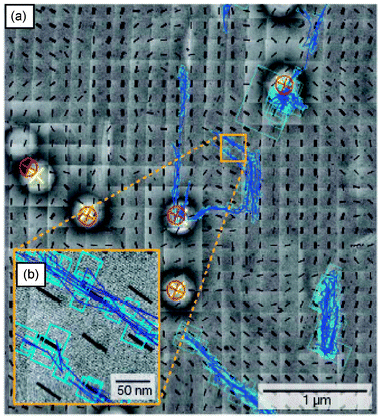 (a) Overlapped single molecule trajectories on TEM images. (b) The inset more clearly shows that the trajectories run along the channels. The black lines show the orientation of the pores from TEM data. The red and yellow crosses depict the positions of the same polystyrene bead in the wide field fluorescence and TEM images, respectively. The blue lines show the single molecule trajectories. (Reprinted with permission from ref. 114. Copyright 2007 Nature Publishing Group.)