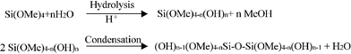 Salient processes involved in the acid-catalyzed hydrolysis and condensation of TMOS.