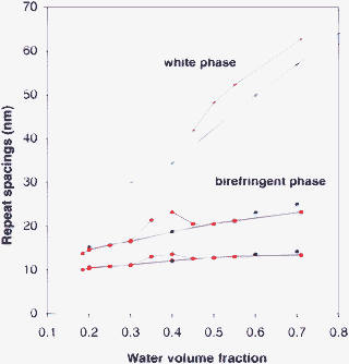 Repeat spacings of the two main mesophases according to the overall volume fraction of water in the samples. Diamonds and squares: birefringent phase. Crosses: white phase. The repeat spacings are nearly the same in the water + surfactant system (blue symbols) and in the water + surfactant + oil system (red symbols). The birefringent phase swells very little, while most of the added water is taken up by the white phase.