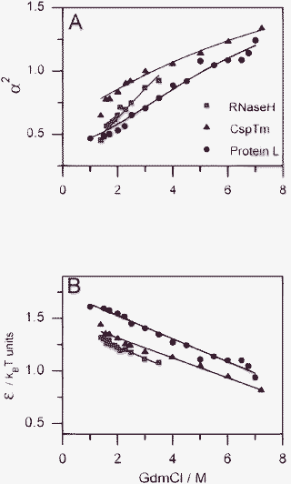 Analysis of the CG transition in 3 different proteins using the modified Sanchez theory described in the text. FRET efficiency values measured in single-molecule experiments were matched to calculated values obtained from eqn (5) by varying the interaction energy ε. These values were subsequently used (with eqns (6) and (7)) to calculate other average quantities. (A) The expansion factor, α2 = Rg2/Rg,02, as a function of denaturant concentration. (B) The interaction energy ε as a function of denaturant concentration. Symbols are calculated from experimental points (see references to original papers in Table 1). A linear fit of ε, shown in (B), is used to calculate the solid lines in (A), indicating that a linear model captures the essential features of the collapse process.