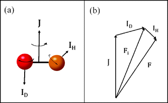 Illustration of (a) the three angular momenta of the hydrogen deuteride molecule and (b) the vector model of the angular momentum coupling.