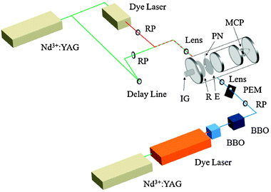 Schematic diagram of experimental apparatus. Abbreviations are as follows: BBO = β-barium borate crystal; E = extractor grid; IG = (nude) ion gauge; MCP = microchannel plates; PEM = photoelastic modulator; PN = pulsed nozzle; R = repeller plate; RP = Rochon prism (linear polarizer).