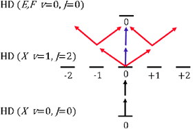 
          SRP and REMPI schemes used to prepare and detect HD(v = 1, J = 2, MJ = 0) from HD (v = 0, J = 0) using linearly polarized light. Purple and red arrows represent the electric field vector of the probe radiation parallel and perpendicular to the pump radiation (black arrows).