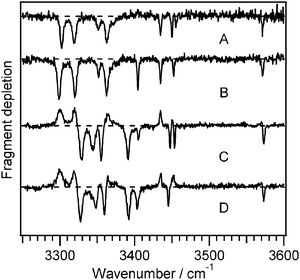 Infrared-ultraviolet double resonance spectra of Ac-Phe-(Ala)5-Lys-H+ recorded at the correspondingly-labeled UV transitions in Fig. 1. The positive-going signals in the spectra of C and D are gains are due to conformers A and B.