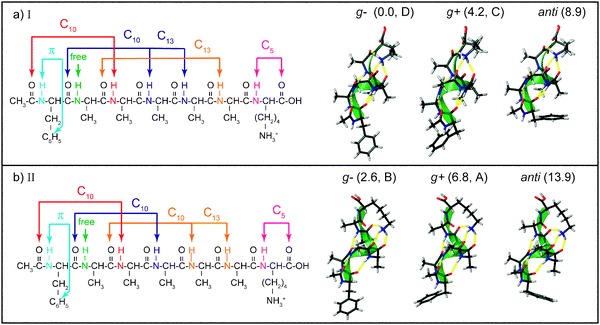 Schematic depictions of the structures of the lowest-energy conformers of Ac-Phe-(Ala)5-Lys-H+, with the hydrogen-bonding schemes of the helices on the left and calculated structures on the right. The calculated structures have the helix axes aligned to better show the orientation of the phenylalanine ring: g+, g−, or anti. The conformers are also labeled with their zero-point-corrected energy in kJ mol−1 and their assignment (A, B, C, or D).