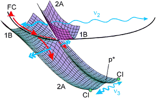 Surfaces and illustrations of acceleration forces (double arrows) and directions of vibrations (wavy lines; actually the indicated ranges only comprise a single period). For a calculated surface, see ref. 11. Most of the wave packet falls down from the 1B to the lower 2A surface near the first CI; a small fraction remains, however, on the 1B surface and completes an oscillation (thin wavy line). For the final CI, only the two (symmetry-equivalent) positions are indicated. Vibrations in the Franck–Condon (FC) region follow different coordinates (CC and C–C stretch) and therefore cannot be indicated in this figure.