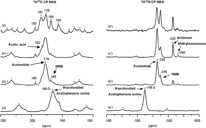 1H/13C (a–d) and 1H/15N (a′–d′) CP-MAS NMR spectra of (α-13C, 15N)-acetophenone oxime: (a) + (a′) adsorbed on zeolite H-beta at room temperature, and subsequently treated during 1 h at (b) + (b′) 423 K, (c) + (c′) 473 K, and (d) + (d′) 623 K.