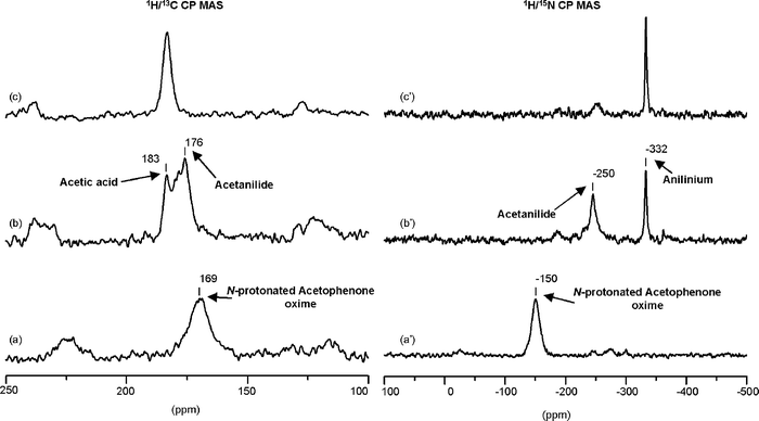 1H/13C (a–d) and 1H/15N (a′–d′) CP-MAS NMR spectra of (α-13C, 15N)-acetophenone oxime: (a) + (a′) adsorbed on non-dehydrated zeolite H-beta at room temperature and subsequently treated during 1 h at (b) + (b′) 423 K, and (c) + (c′) 473 K.