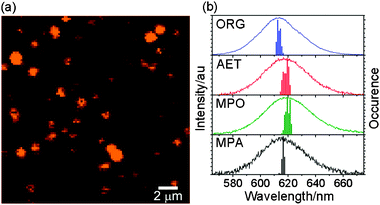 (a) Image of single organic-soluble CdSe/ZnS nanocrystals in PMMA film; (b) the ensemble average spectra of organic- and water-soluble CdSe/ZnS nanocrystals and the statistical distribution of the PL maximum.