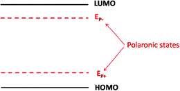 HOMO and LUMO levels, as well as the polaronic states EP− and EP+, of an electroluminescent polymer.