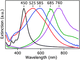 
          UV-Vis-NIR extinction spectra recorded from the aqueous suspensions of Ag nanocubes (LSPR at 450 nm) and Au–Ag nanocages used in this study. As the Ag/Au ratio decreased, the LSPR band of the nanocages was red-shifted. The broadening of the LSPR linewidth for the nanocages is due to dephasing of the LSPR by the introduction of Au.